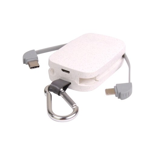 Reishi main image 1